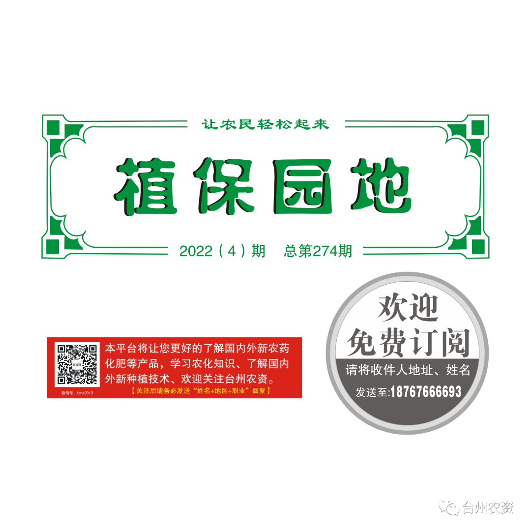 氣溫驟降，大棚西瓜做好以下幾點(diǎn)工作